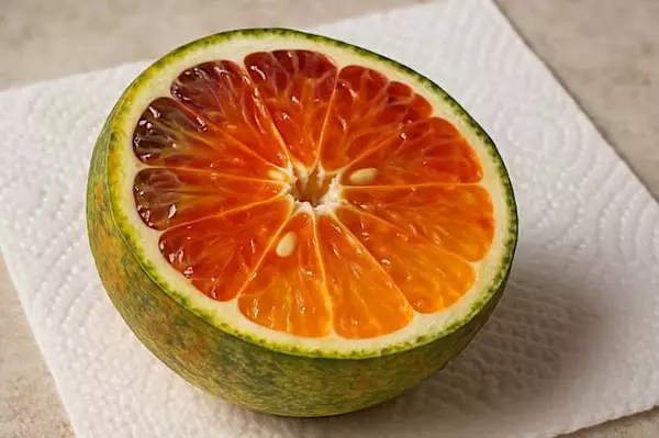 Naranja sanguina y tensión arterial